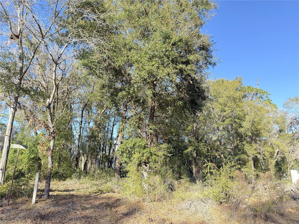 15331 NE 3RD LANE, WILLISTON, FL — photo 5 of 6