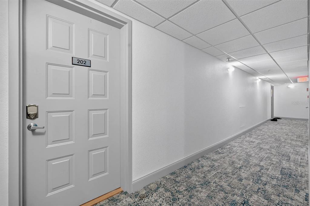 A hallway with patterned carpet leads to a white door labeled 202 — 503 N CAUSEWAY UNIT 2020, NEW SMYRNA BEACH, FL