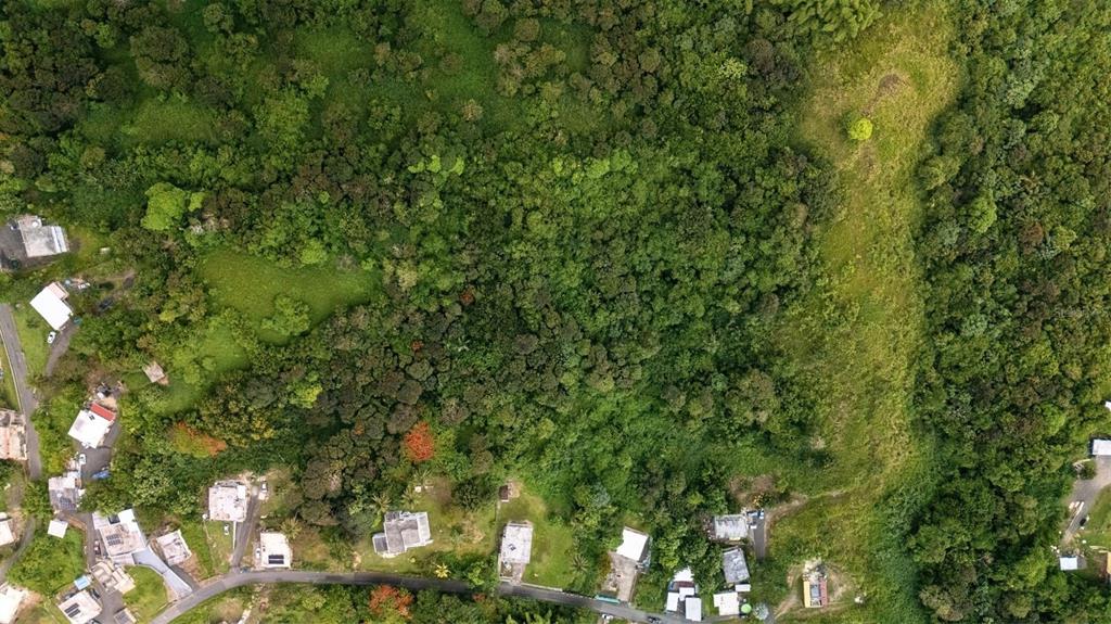 An aerial view shows a plot of land surrounded by dense trees and residential houses — BO VALENCIANO ARRIBA CARR 919 KM 4.0, JUNCOS, PR