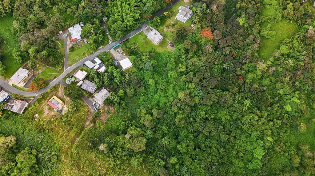 An aerial view shows a rural road lined with houses surrounded by dense green forest — BO VALENCIANO ARRIBA CARR 919 KM 4.0, JUNCOS, PR
