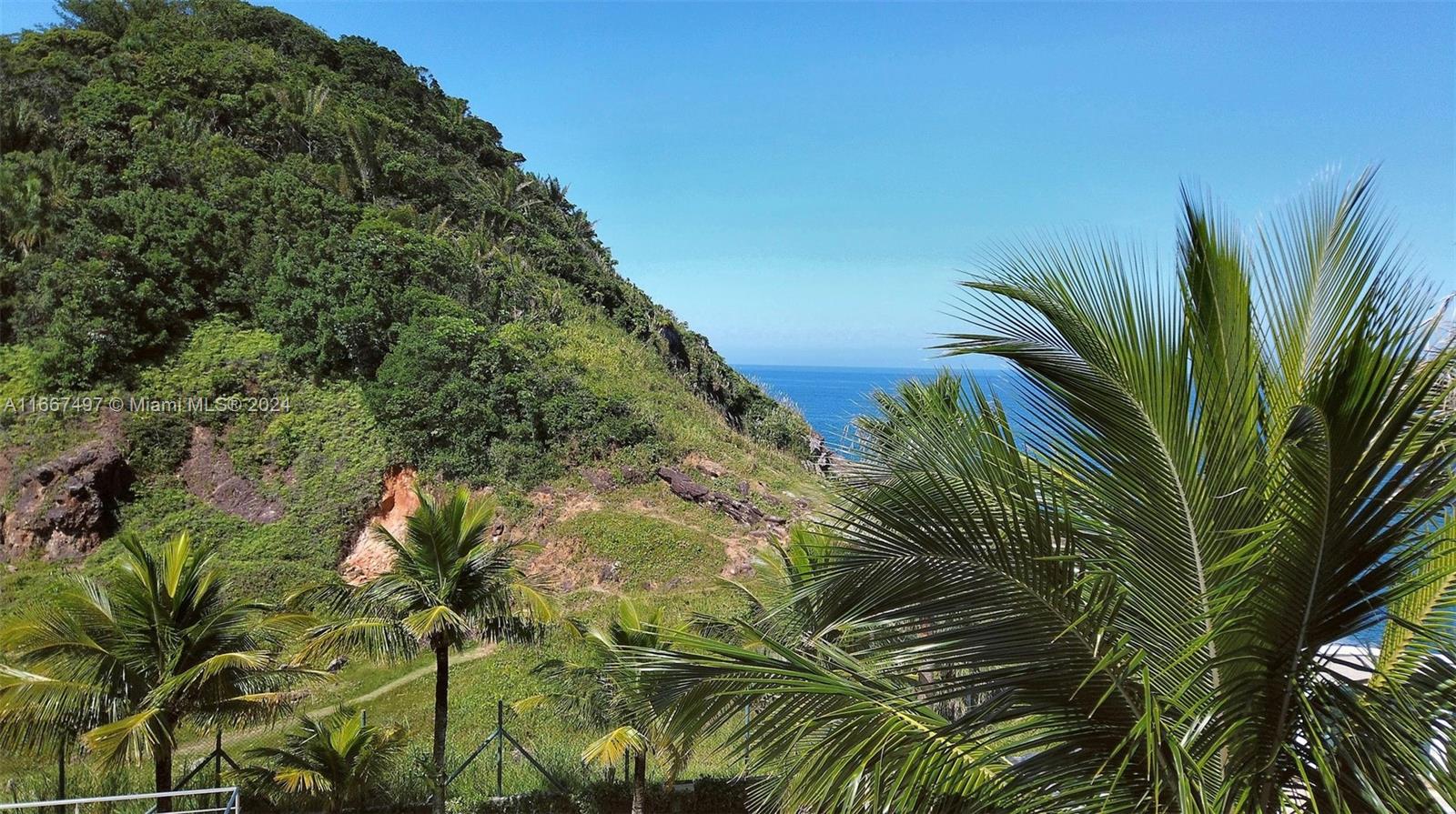 A lush, green hillside slopes down toward the blue ocean under a clear sky — 198 Passeio ave, SP 11444-380, SP