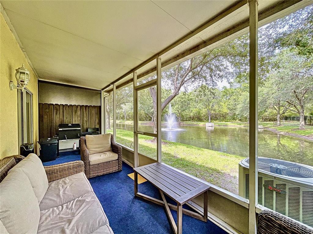 A screened-in porch features blue carpeting, patio furniture, and a view of a pond fountain — 11013 BLAINE TOP PLACE, TAMPA, FL