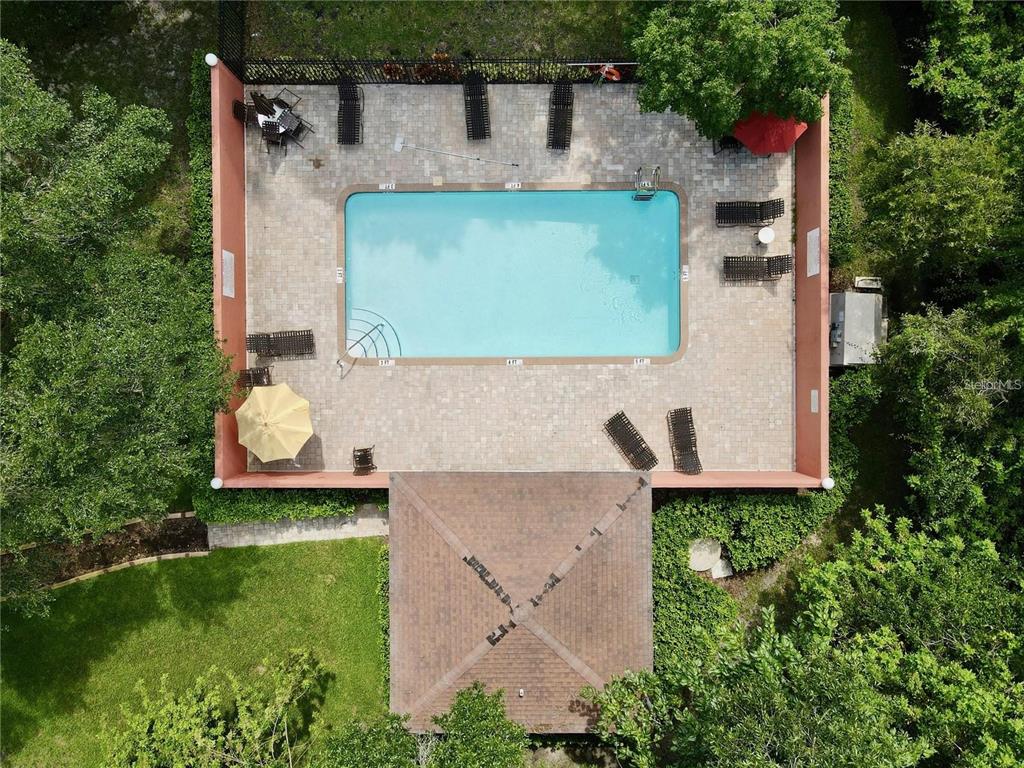 An aerial view shows a rectangular swimming pool surrounded by a paved deck and gazebo — 11013 BLAINE TOP PLACE, TAMPA, FL
