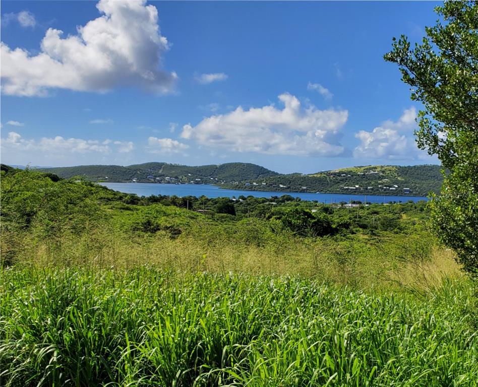 A view of a grassy hillside overlooking a blue bay and distant rolling hills — 3 BARRIO FLAMENCO, CULEBRA, PR