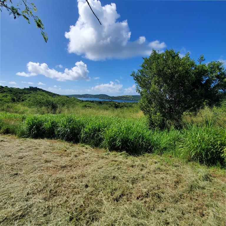 A grassy, partially mowed lot overlooks a distant bay under a bright blue sky — 3 BARRIO FLAMENCO, CULEBRA, PR