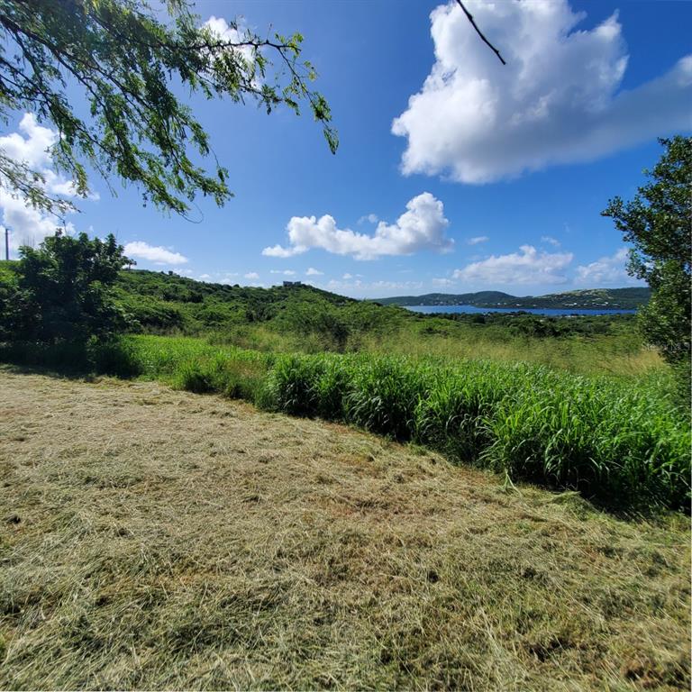 A grassy field overlooks a hilly landscape and a body of water under a blue sky — 3 BARRIO FLAMENCO, CULEBRA, PR