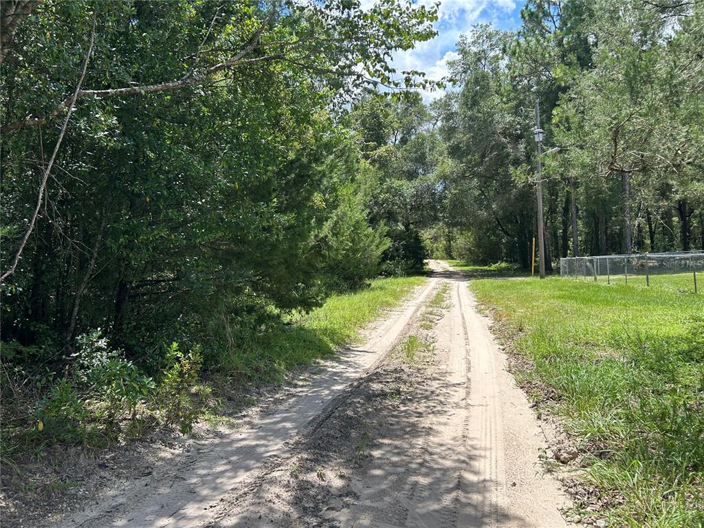0000 NE 157TH TERRACE, WILLISTON, FL — photo 2 of 4