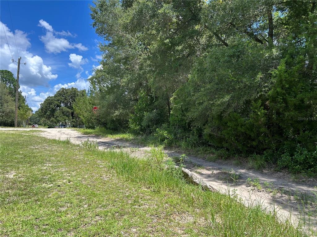 0000 NE 157TH TERRACE, WILLISTON, FL — photo 3 of 4
