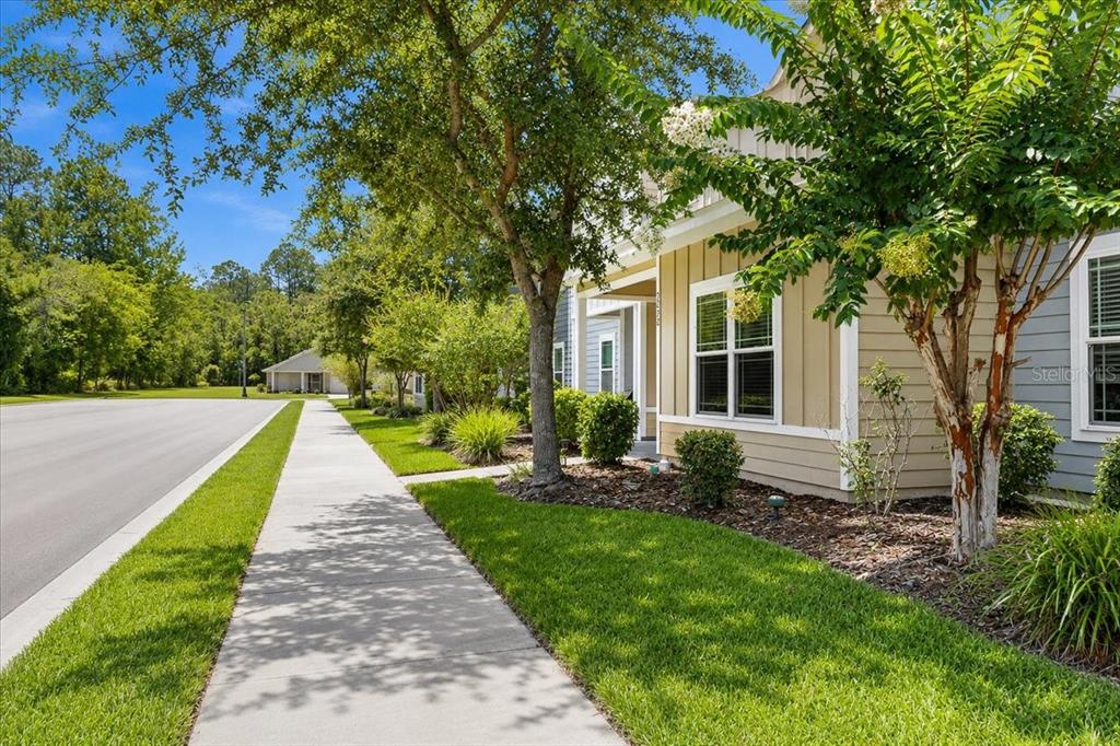 A sidewalk runs alongside a tan house with a tree in the front yard — 2242 NW 51ST AVENUE, GAINESVILLE, FL