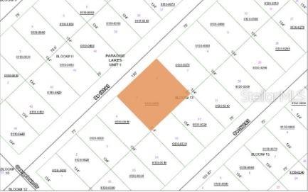 This is a property tax map showing a highlighted parcel of land in a residential area — 209 SE PARADISE LAKES, GEORGETOWN, FL