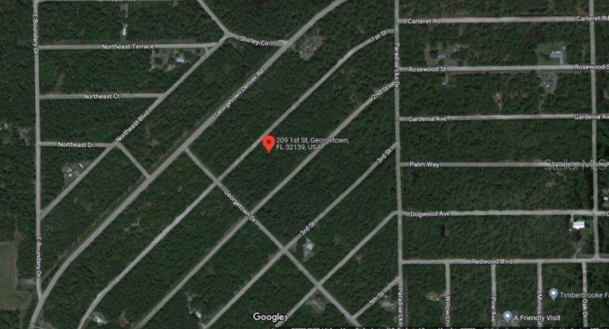 This is a satellite map view of a wooded residential area with marked street names — 209 SE PARADISE LAKES, GEORGETOWN, FL