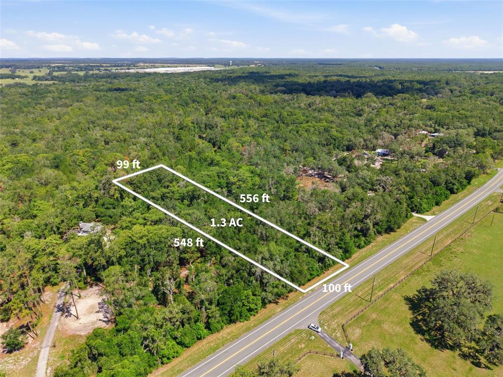 An aerial view shows a rectangular wooded plot of land bordering a paved road — MCKETHAN ROAD, DADE CITY, FL