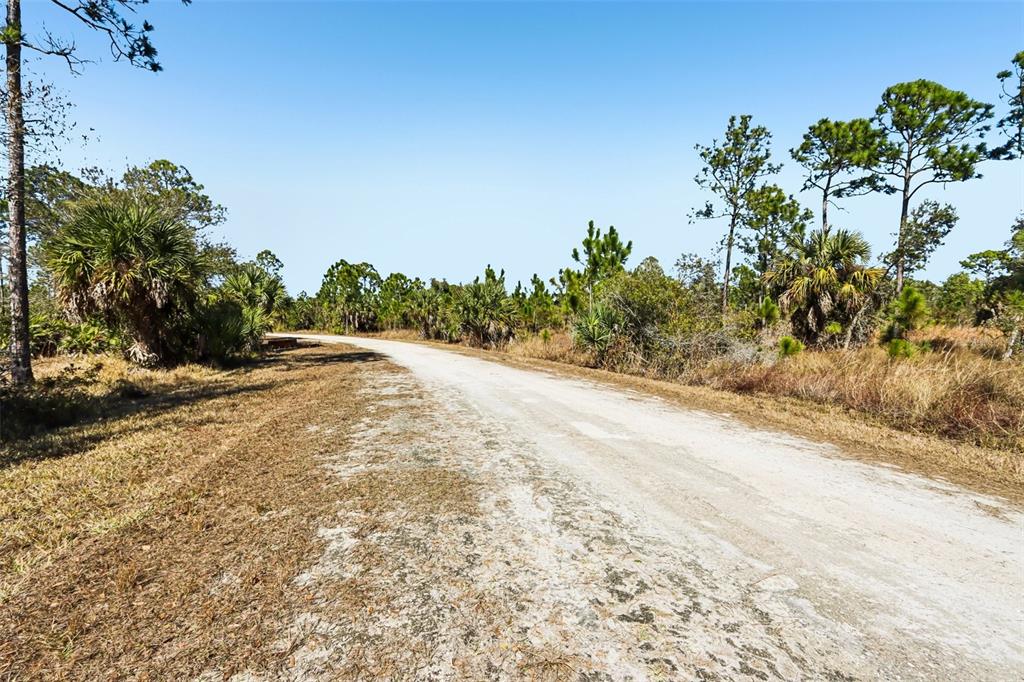A dirt road winds through a sunny, undeveloped landscape with scattered pine trees and palms — 13592 CAROUSEL DRIVE, PUNTA GORDA, FL