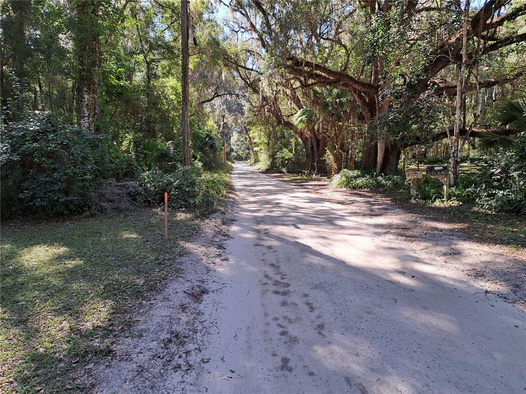 A dirt road winds through a wooded area with large trees and hanging moss — 0 SW 17TH TERRACE, GAINESVILLE, FL