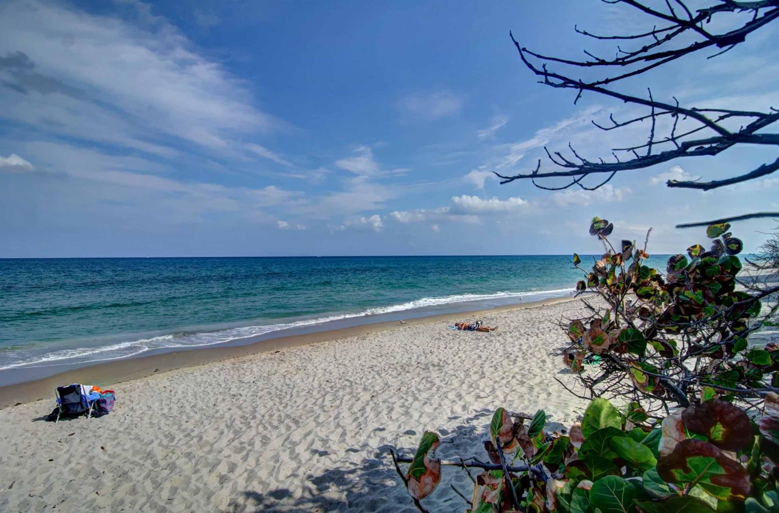 A sandy beach meets the ocean under a blue sky with a foreground of foliage — 200 Ocean Trail Way # 109, Jupiter FL 33477, JUPITER, FL