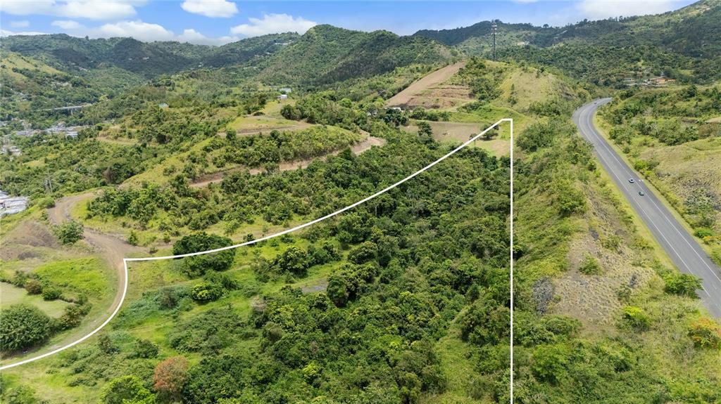 An aerial view shows a large, undeveloped plot of land bordered by a paved road — 442 URB. VALLE ALTO AVENUE, CAYEY, PR