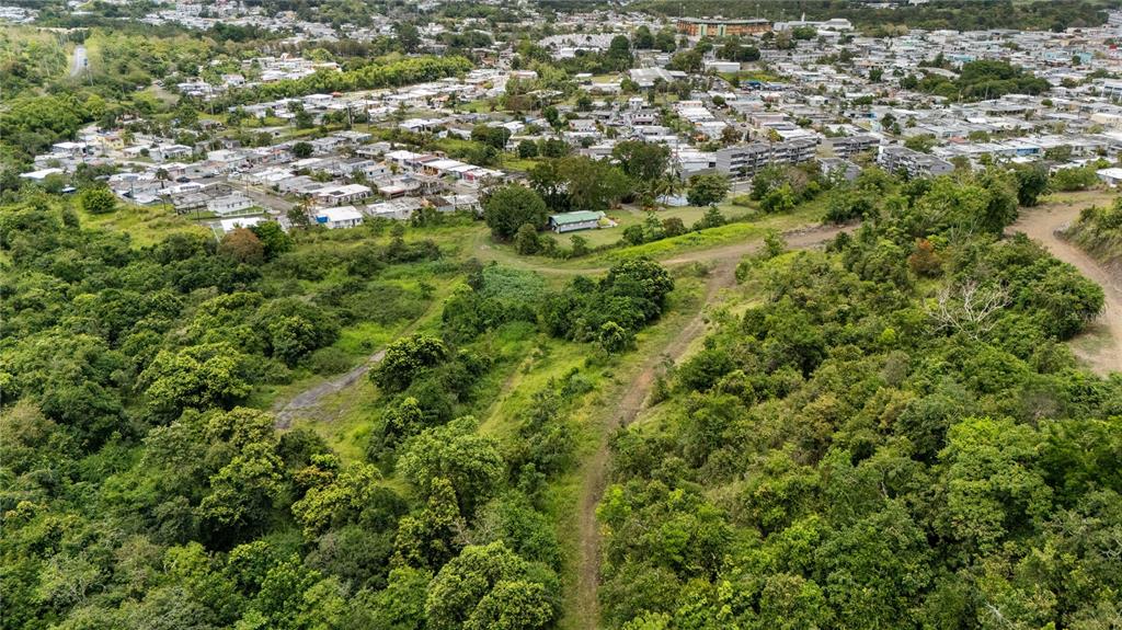 An aerial view shows a dirt path winding through a wooded area near a residential neighborhood — 442 URB. VALLE ALTO AVENUE, CAYEY, PR