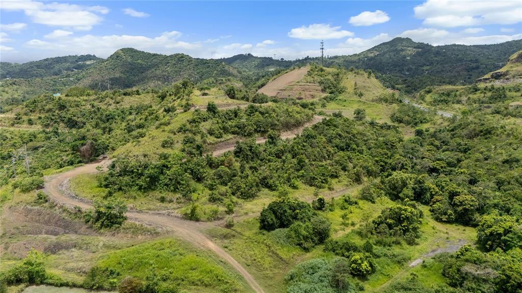 An aerial view of a hilly, undeveloped landscape with a dirt road and scattered vegetation — 442 URB. VALLE ALTO AVENUE, CAYEY, PR