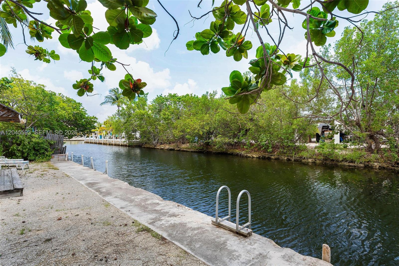 A concrete dock sits along a narrow canal surrounded by lush green trees and foliage — TORCH KEY, FL