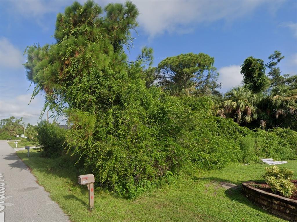 A dense, overgrown lot with trees and shrubs sits next to a paved residential street — Lot 16 ZORATOA AVENUE, NORTH PORT, FL