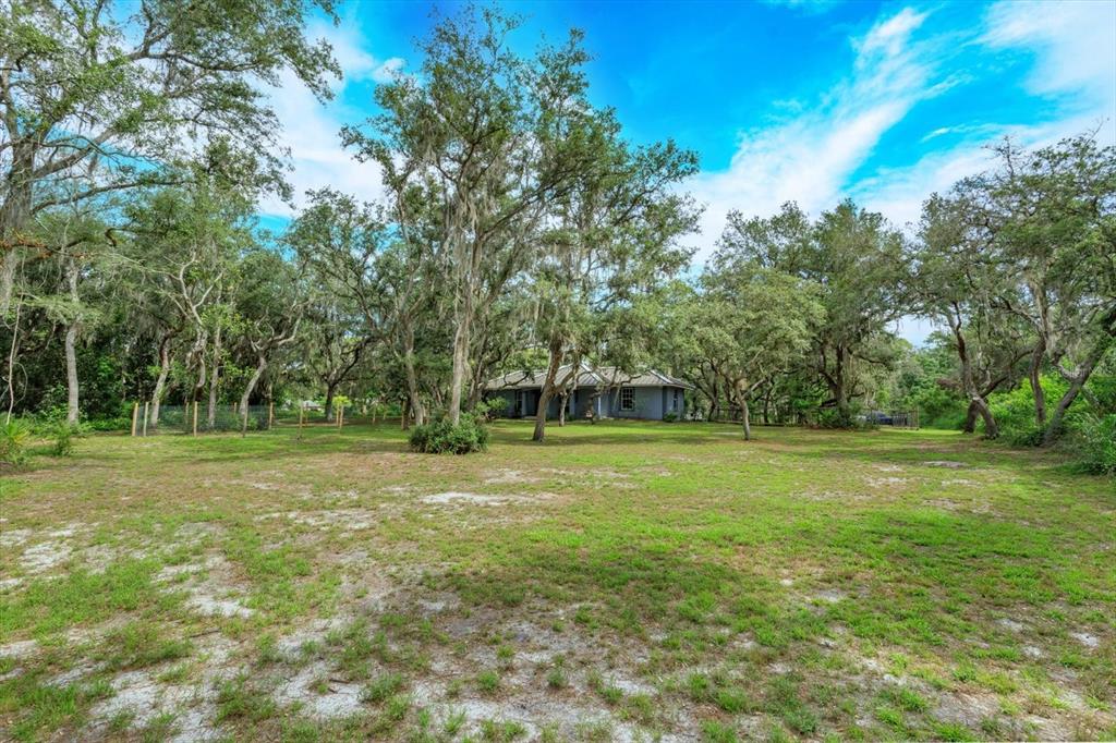 A single-story house sits in a large, grassy yard surrounded by many mature oak trees — 17249 HOLLY COURT, UMATILLA, FL