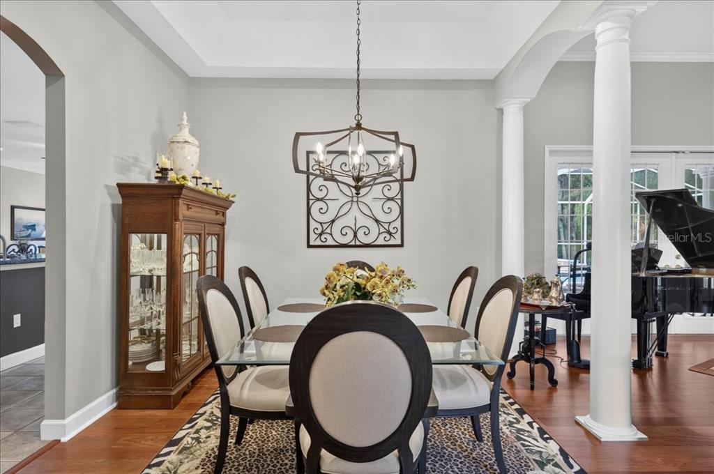 A dining room features a glass-topped table, upholstered chairs, a china cabinet, and a chandelier — 3874 CRESCENT COVE PLACE, TARPON SPRINGS, FL