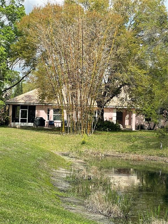 A pink house with a tiled roof sits behind a large bamboo cluster and pond — 21007 LOS CABOS COURT, LAND O LAKES, FL
