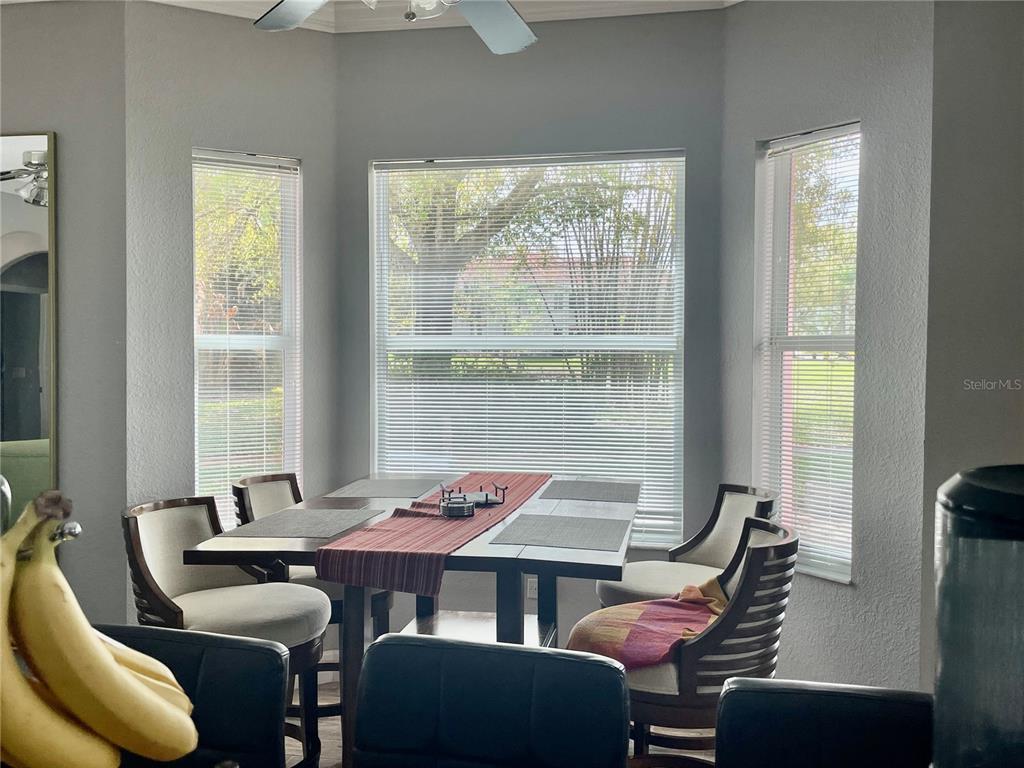 A dining area features a table with four chairs positioned in front of three windows — 21007 LOS CABOS COURT, LAND O LAKES, FL