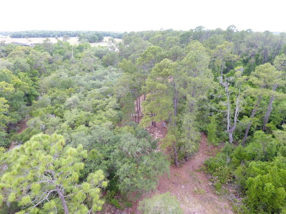 155 SNAKE HILL ROAD