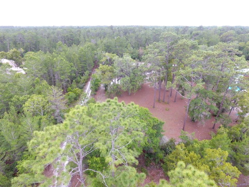 An aerial view shows a wooded lot with pine trees and a dirt path — 155 SNAKE HILL ROAD, POMONA PARK, FL