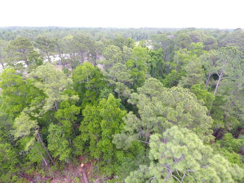 An aerial view shows a dense forest with a mix of pine and deciduous trees — 155 SNAKE HILL ROAD, POMONA PARK, FL