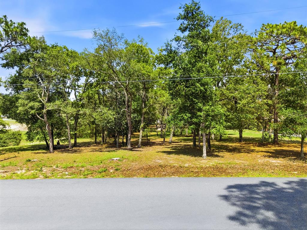 A paved road runs in front of a wooded lot with scattered trees and grass — 1228 STATEN AVENUE, SPRING HILL, FL