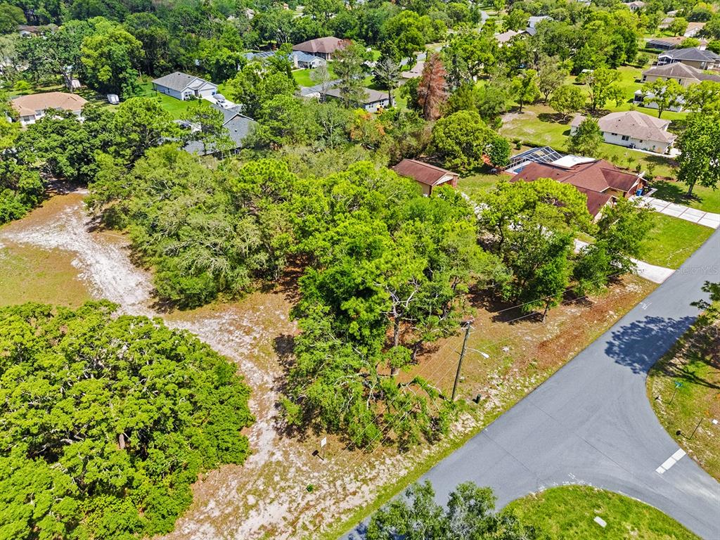 An aerial view shows a wooded, undeveloped residential lot next to a paved road — 1228 STATEN AVENUE, SPRING HILL, FL