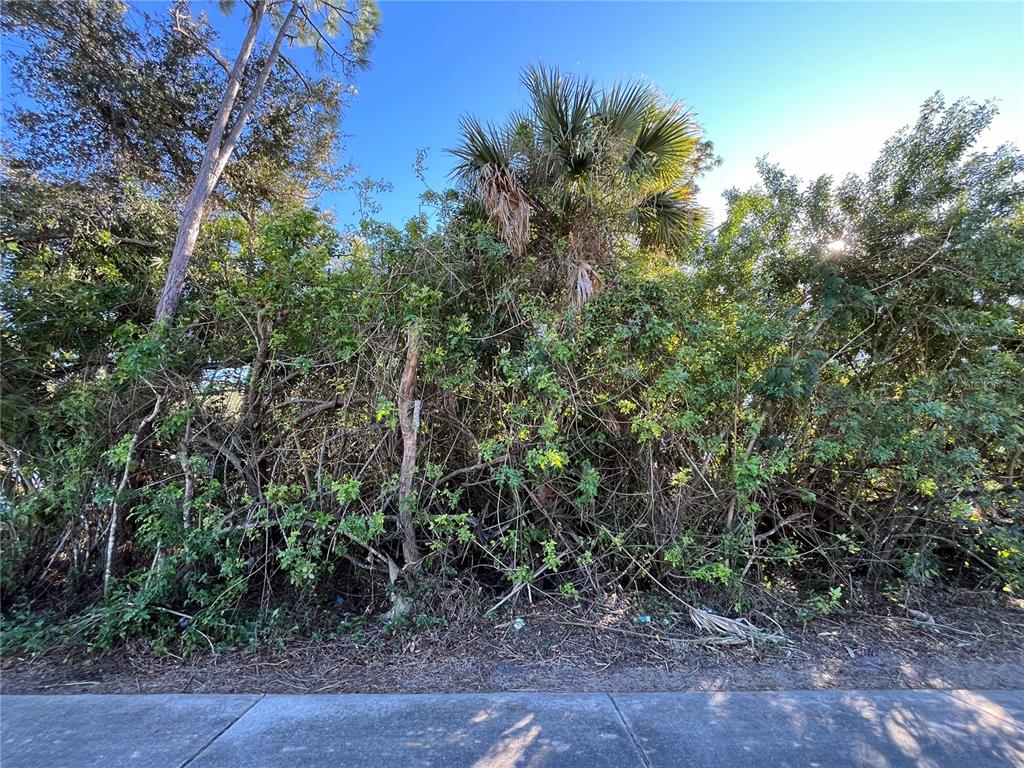 A dense thicket of trees and shrubs grows behind a concrete sidewalk — 20417 QUESADA AVENUE, PORT CHARLOTTE, FL