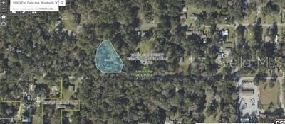 This is an aerial map showing a highlighted parcel of land surrounded by trees — 0 FORT DADE AVENUE, BROOKSVILLE, FL