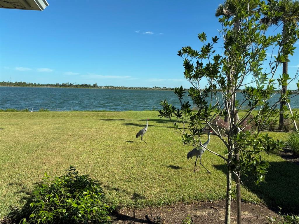 42211 EDGEWATER DRIVE, PUNTA GORDA, FL — photo 2 of 30