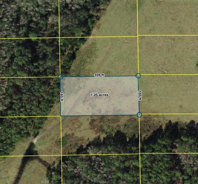 This is an aerial map showing a rectangular 1.25-acre plot of land with dimensions — POLK CITY, POLK CITY, FL