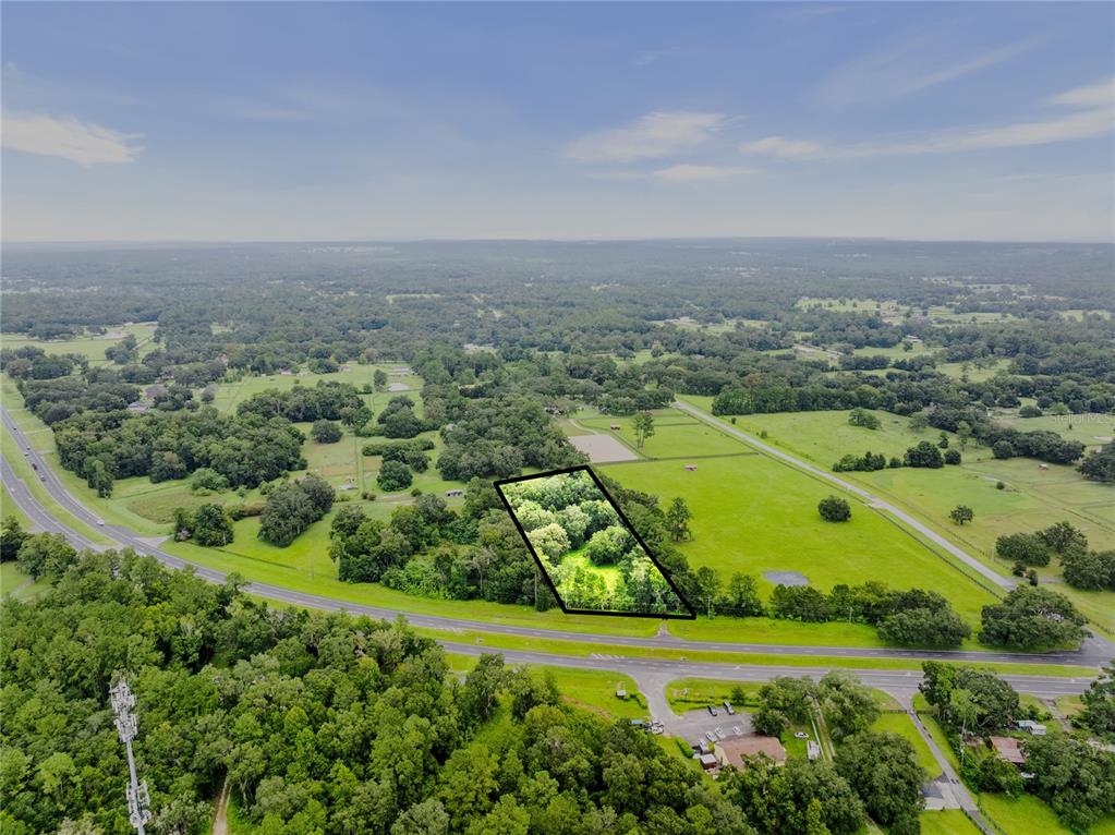 An aerial view shows a wooded rectangular plot of land outlined in black near a road — 12255 N US HIGHWAY 27, OCALA, FL