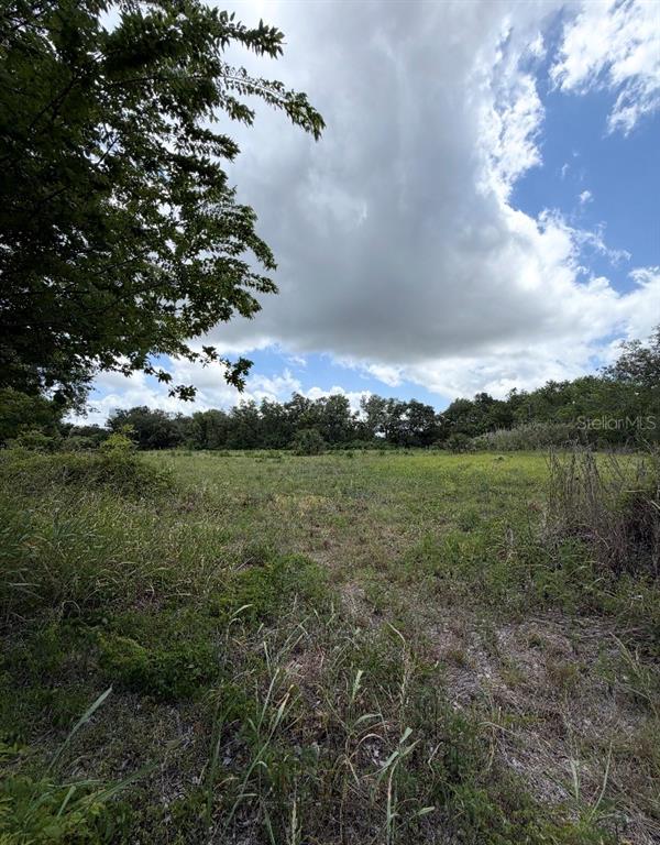 A grassy, open field is bordered by trees under a cloudy blue sky — N OAKLAND STREET, LEESBURG, FL