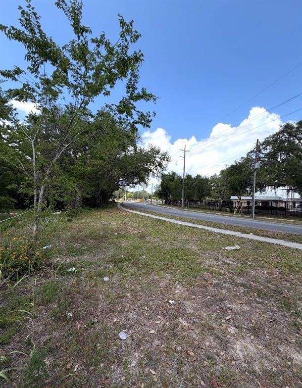 A grassy roadside lot with trees borders a paved street under a clear blue sky — N OAKLAND STREET, LEESBURG, FL