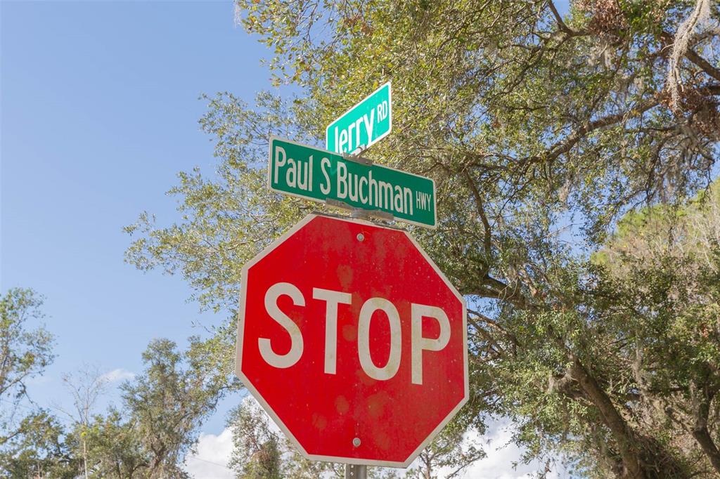 A stop sign stands below street signs for Paul S Buchman Hwy and Terry Rd — 2050 PAUL S BUCHMAN HIGHWAY, ZEPHYRHILLS, FL