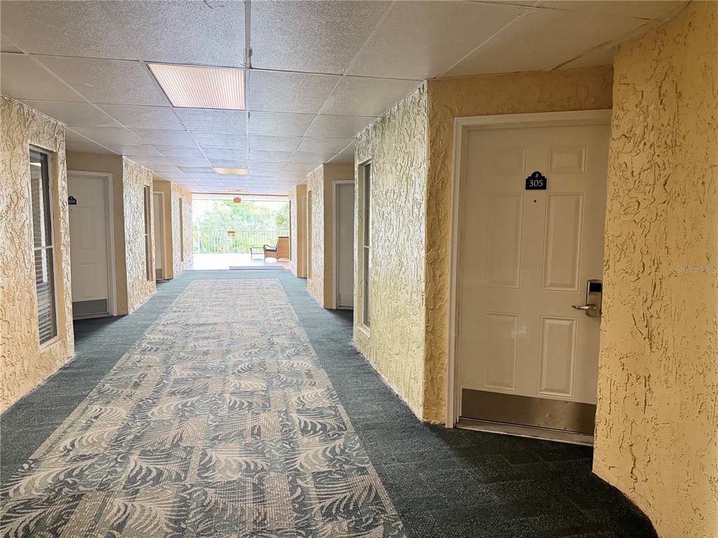 A hallway with textured yellow walls, patterned carpet, and several white doors — 2506 N ROCKY POINT DRIVE UNIT 305, TAMPA, FL