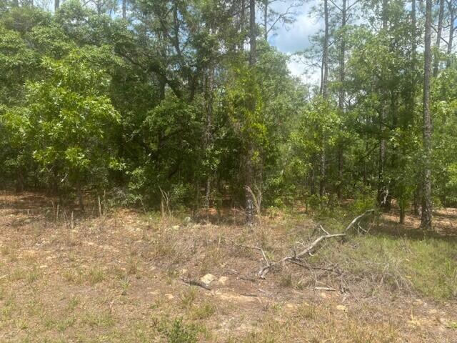 8593 N Bambury Terrace, FL 34434