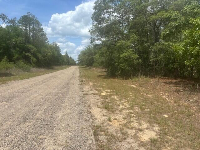 A gravel road stretches into the distance between dense green trees under a cloudy sky — 8593 N Bambury Terrace, FL 34434, FL