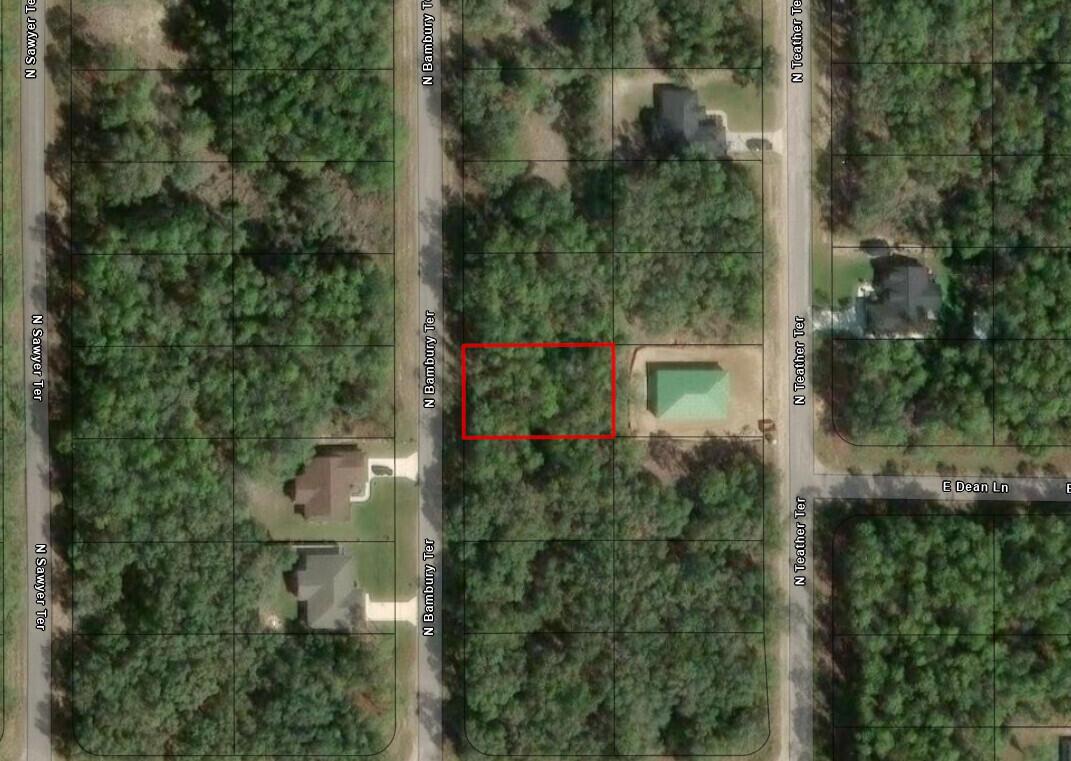 This is a satellite map view showing a vacant, wooded lot outlined in red — 8593 N Bambury Terrace, FL 34434, FL