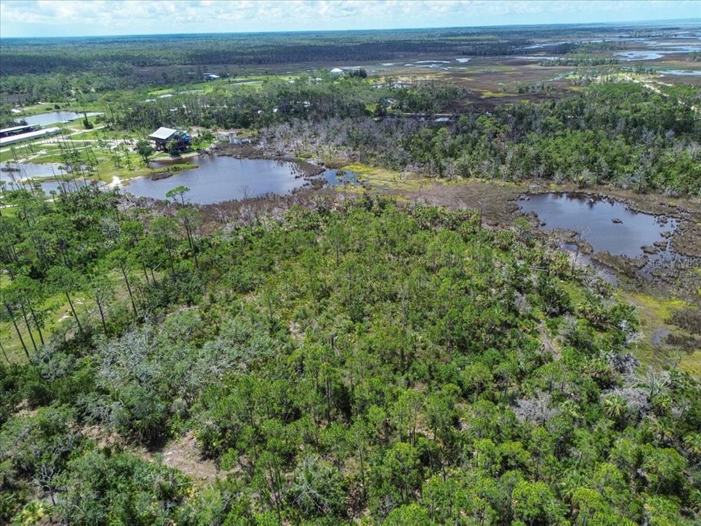 An aerial view shows a wooded plot of land outlined in red near a marsh — TBD SW 276 AVENUE, STEINHATCHEE, FL