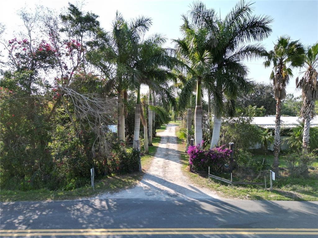 A dirt driveway leads past palm trees and flowering bushes toward a house from a road — 3321 38th Avenue, Okeechobee FL 34974, OKEECHOBEE, FL
