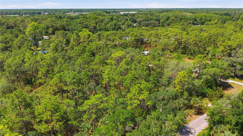 An aerial view shows a dense forest with a small road winding through the trees — 8266 W ANNA GAIL LANE, CRYSTAL RIVER, FL
