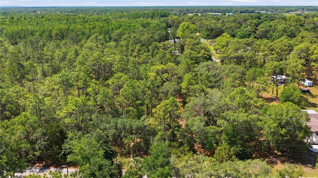 An aerial view shows a densely wooded lot with scattered houses and a paved road — 8266 W ANNA GAIL LANE, CRYSTAL RIVER, FL