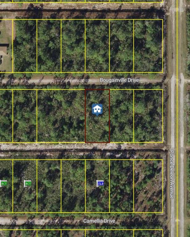 This is an aerial map view of a vacant, wooded residential lot — 405 BOUGAINVILLE DRIVE, INDIAN LAKE ESTATES, FL